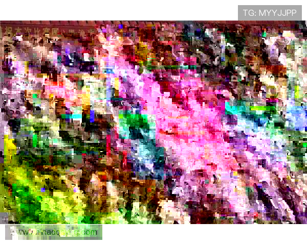 迷你罗入选葡萄牙U16国家队 将参加联合会杯锦标赛备战